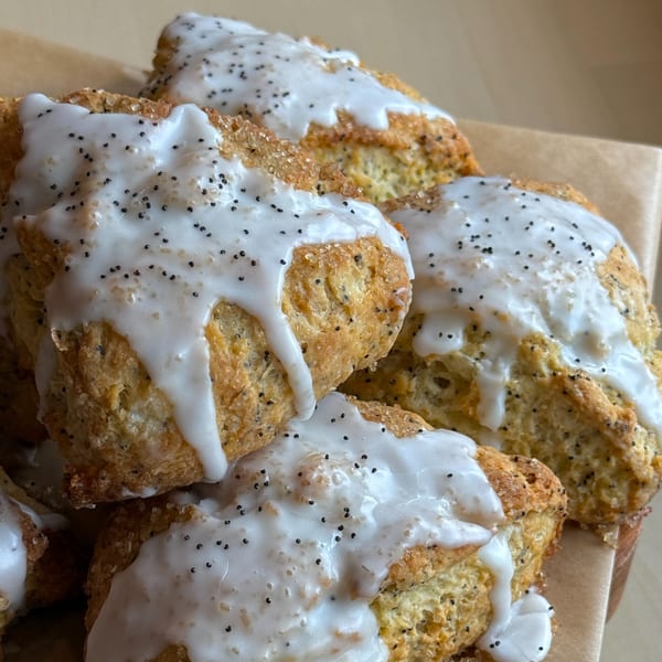 Close-up of several Sunny Cafe poppy seed scones with white icing and sugar crystals.