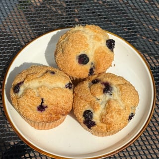 Blueberry Muffin